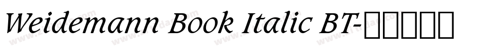 Weidemann Book Italic BT字体转换